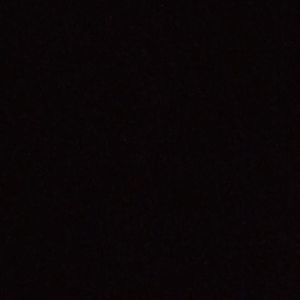 Meet your Posher, Raven